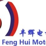 东莞市丰辉微电机有限公司logo