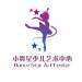 小舞星文化传播logo