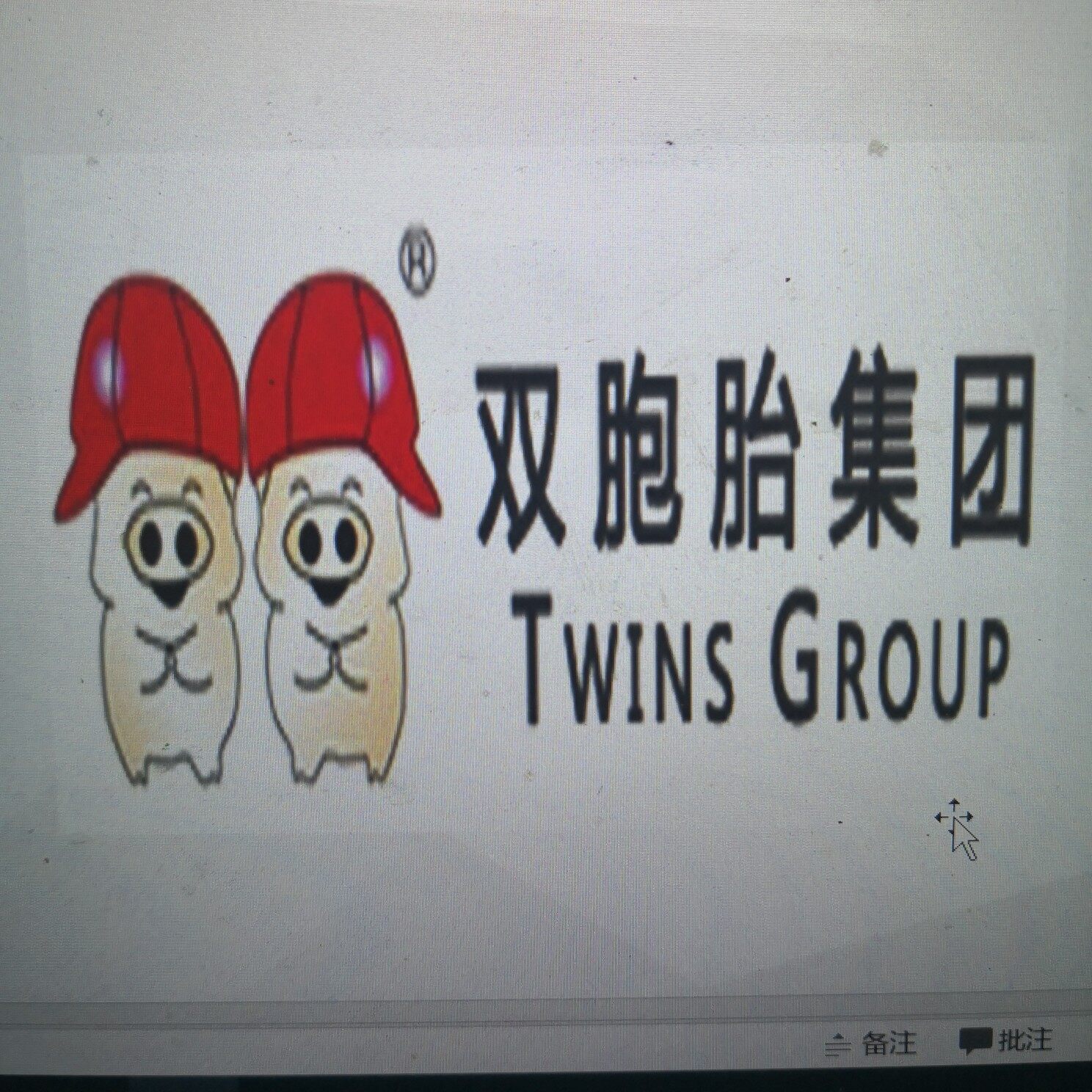 双胞胎饲料招聘logo