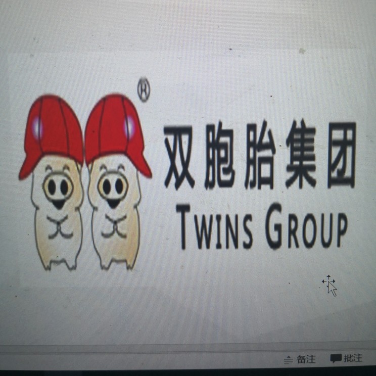 双胞胎饲料logo