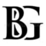 BG集团招聘logo