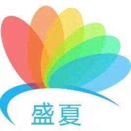 辽宁盛夏网络信息科技有限公司logo