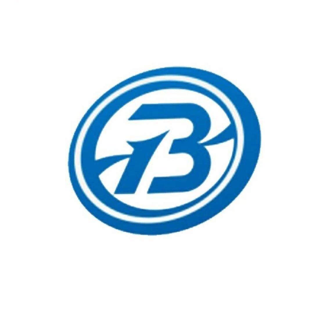 浙江百越企业服务集团有限公司logo