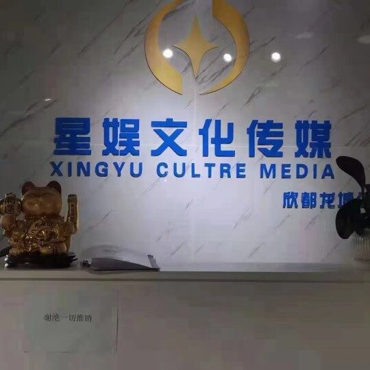 星娱文化传媒招聘logo