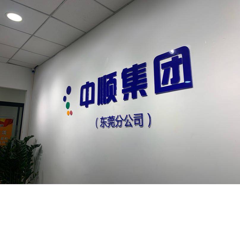 中顺运（东莞）科技有限公司logo