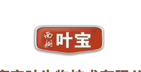 西姆叶宝生物科技招聘logo