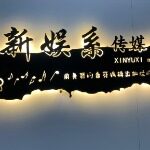 深圳市新娱系文化传媒有限公司logo