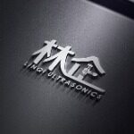 广东林企超声波有限公司logo