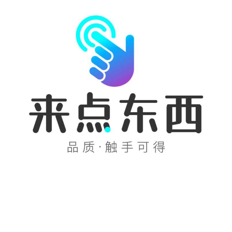 东莞市来点东西电子科技有限公司logo