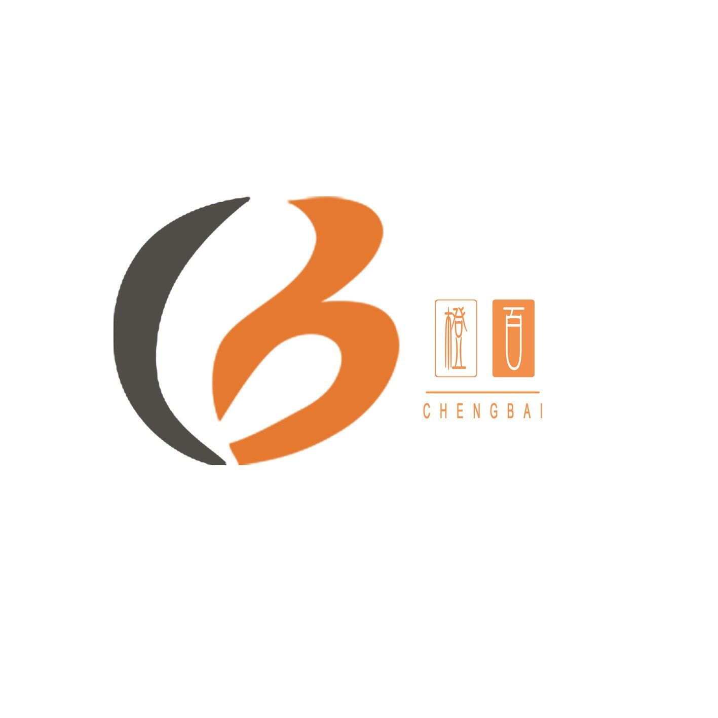 橙百网络科技招聘logo