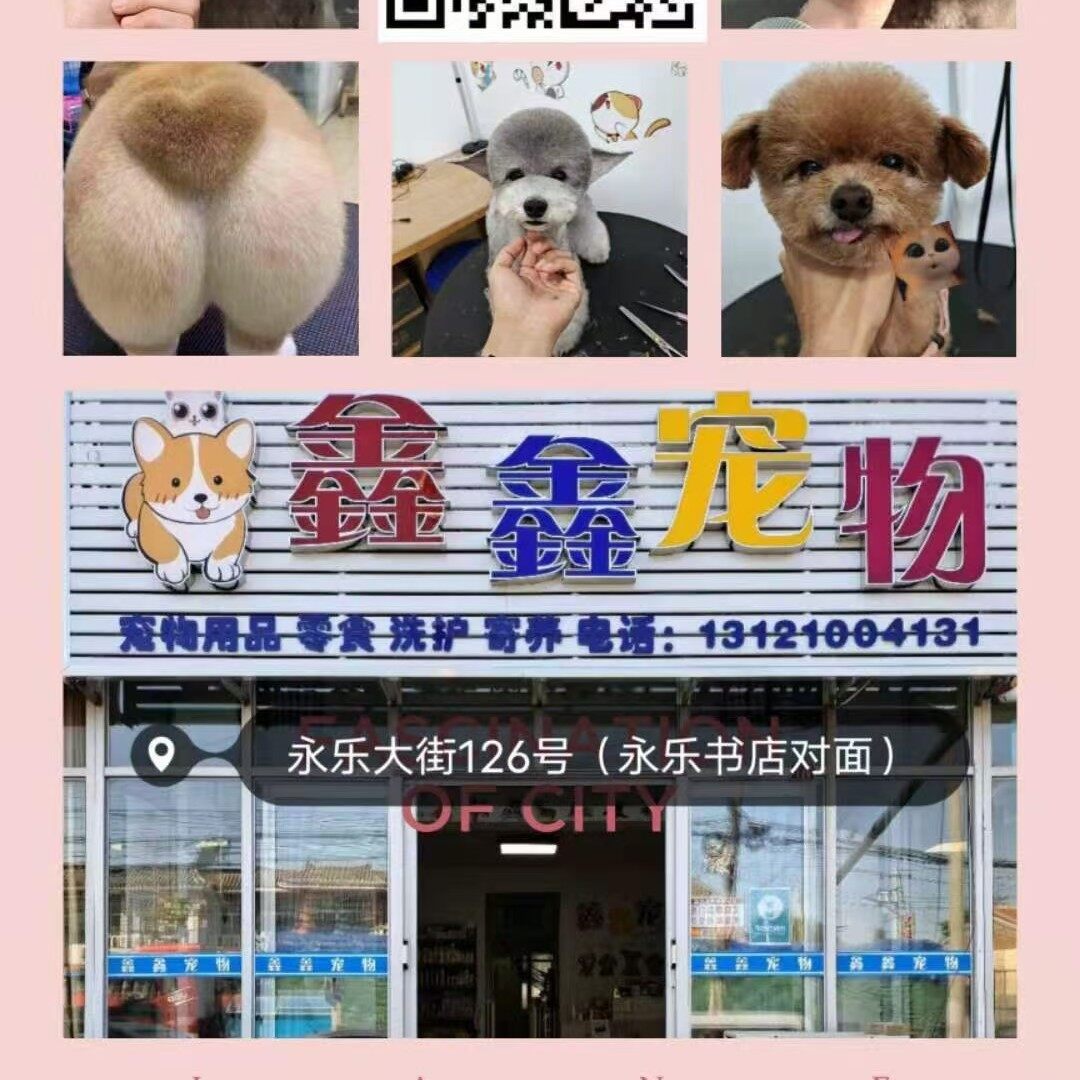北京鑫欣缘和科技有限公司logo