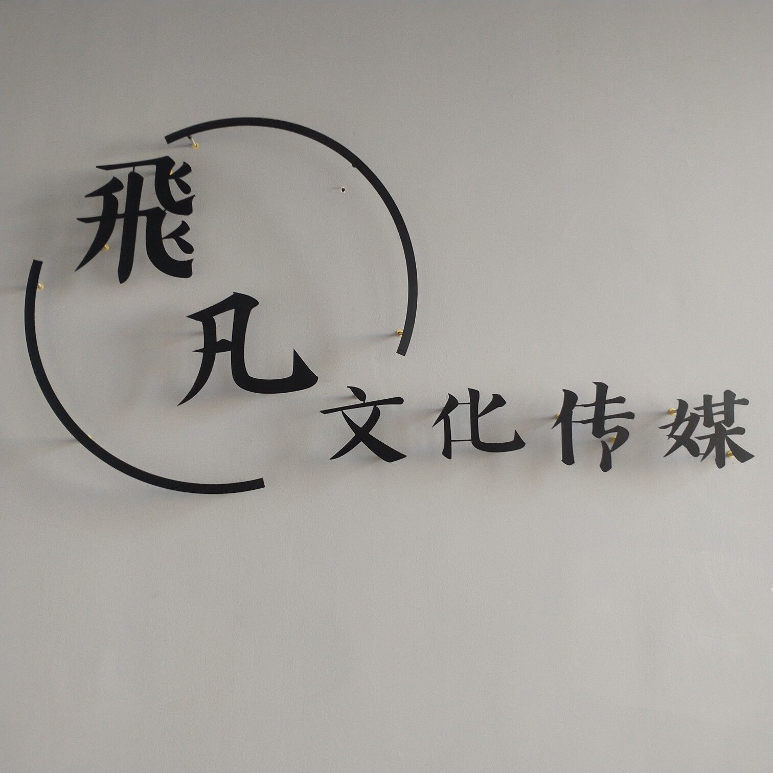 沈阳飛凡文化娱乐传媒有限公司logo
