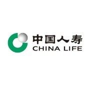 中国人寿保险股份有限公司东营分公司东城logo