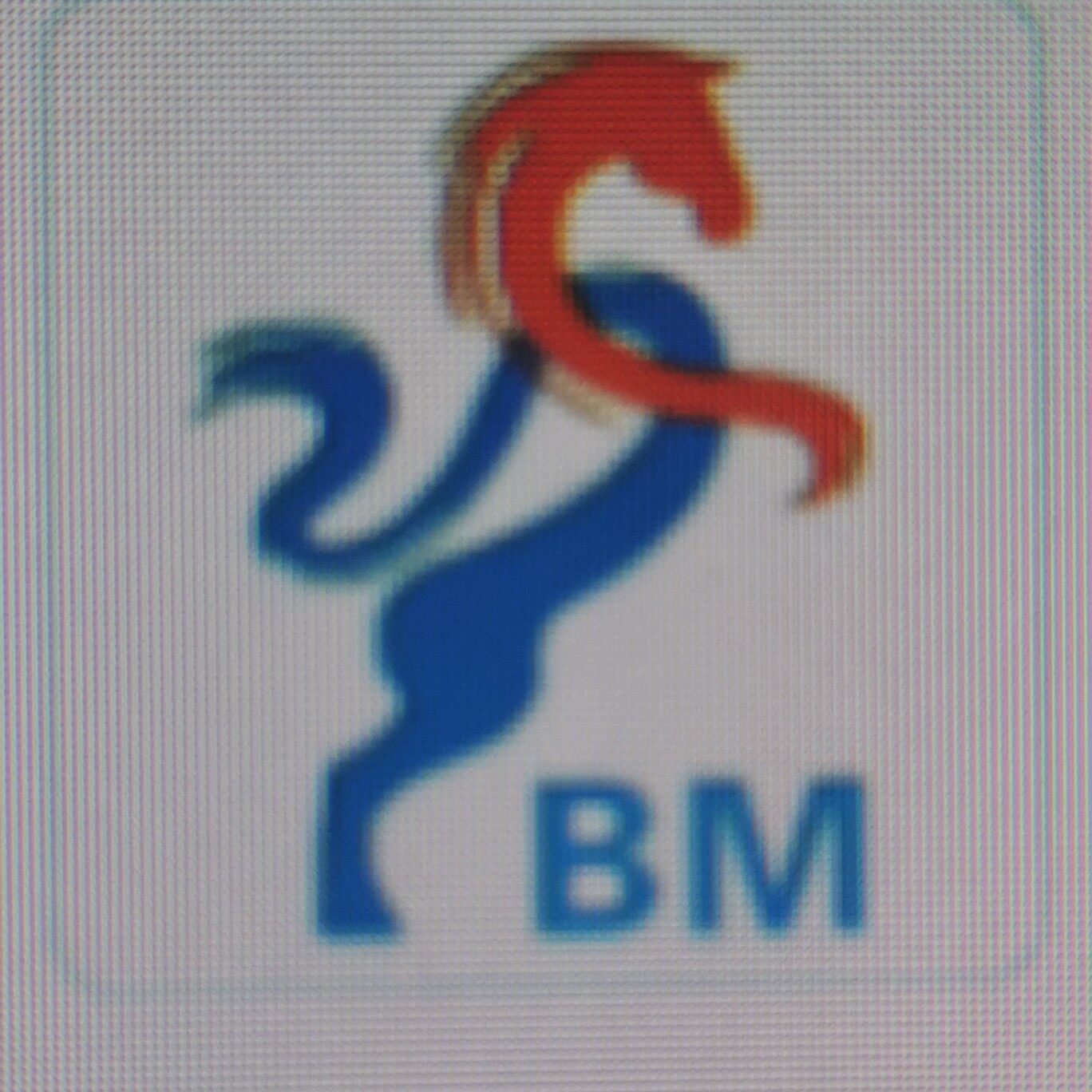 晋江市博马汽车贸易有限公司logo