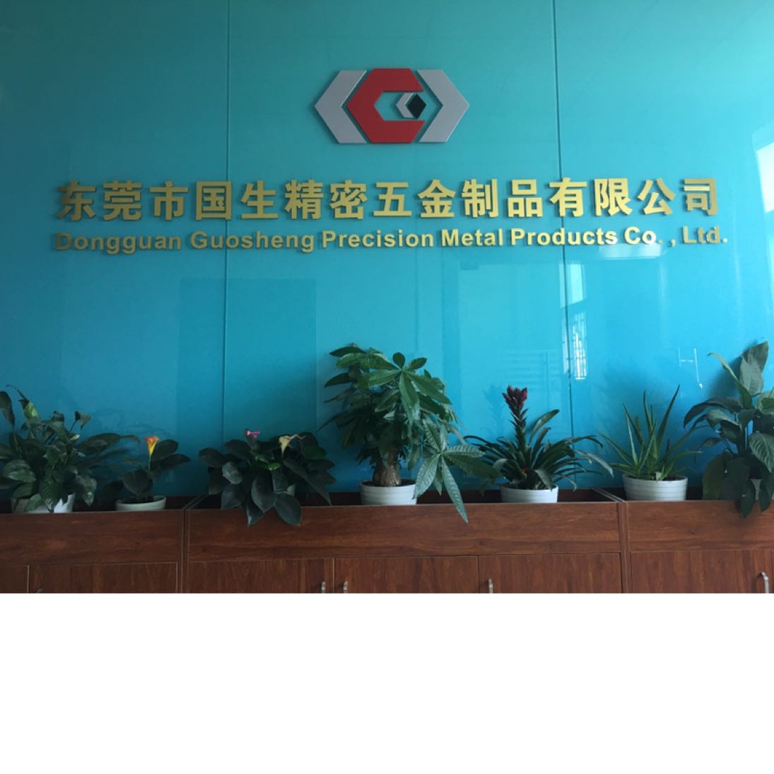 东莞市国生精密五金制品有限公司