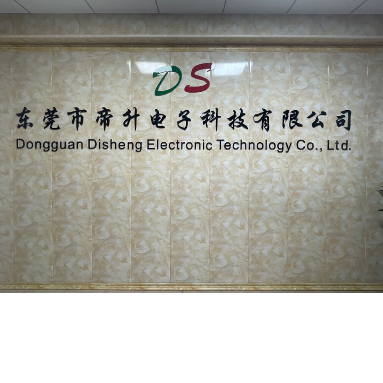 东莞市帝升电子科技有限公司