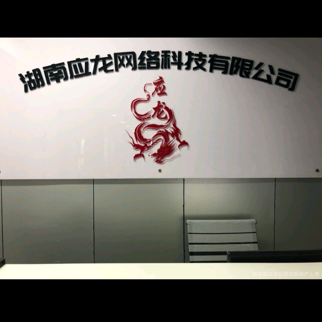 应龙网络科技招聘logo