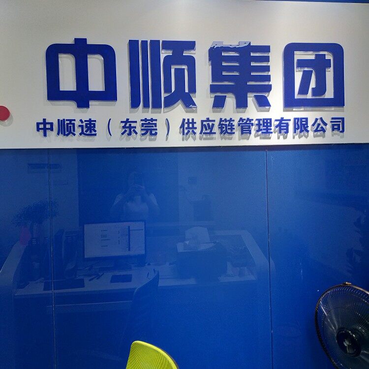 中顺速东莞供应链管理有限公司logo