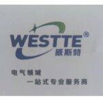 威斯特科技招聘logo