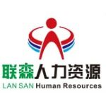 四川联森人力资源有限公司logo