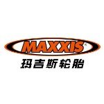 正新橡胶（中国）有限公司logo