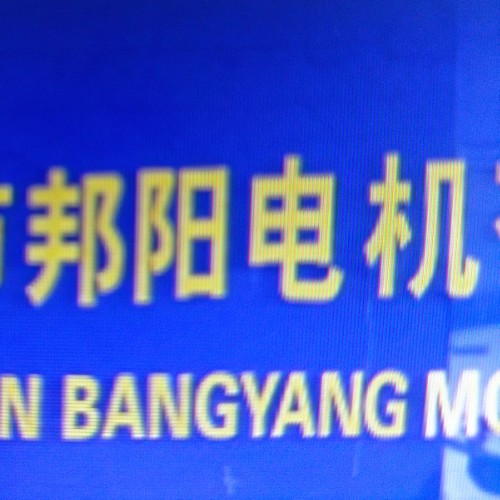 东莞市邦阳电机有限公司