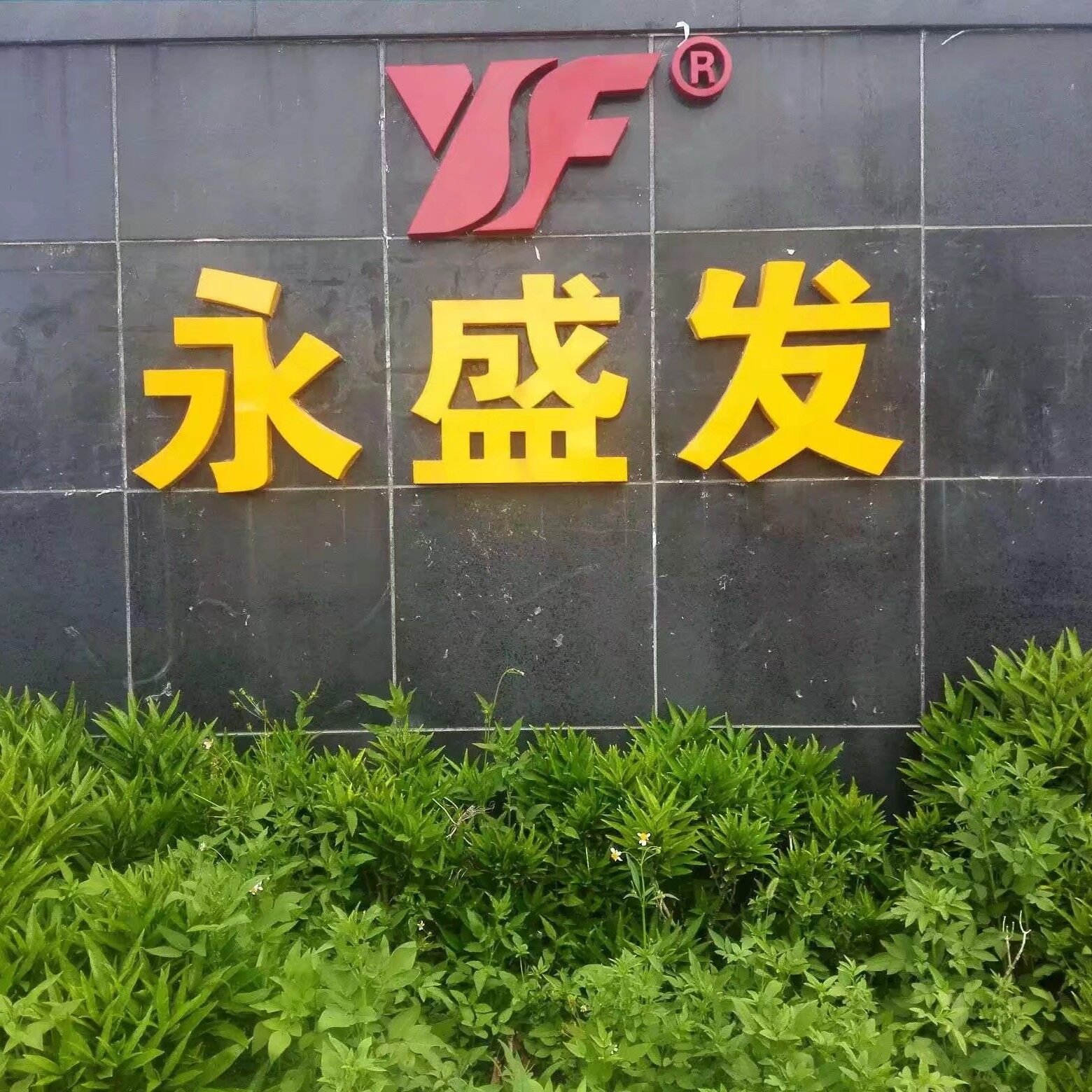 东莞市永盛发塑胶模具有限公司logo