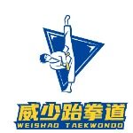 东莞威少体育有限公司logo