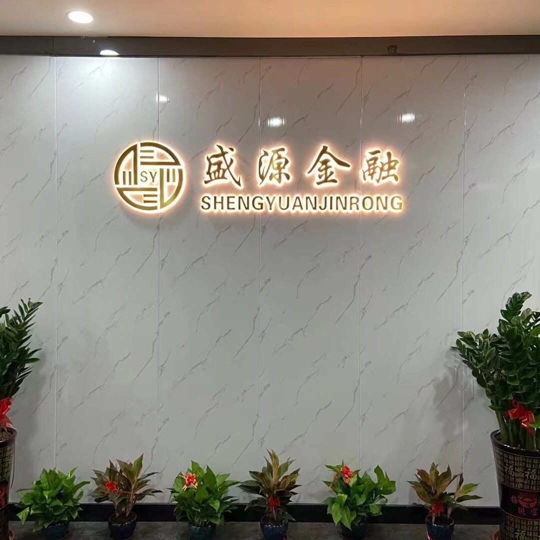 东莞市盛源金服信息咨询有限公司logo