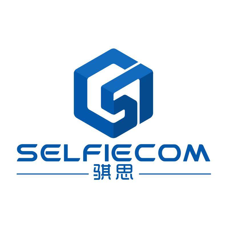 深圳骐思创新电子科技有限公司东莞分公司logo