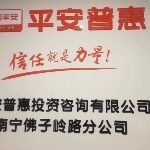 平安普惠投资咨询有限公司南宁埌东分公司logo