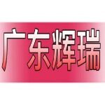 广东辉瑞健康管理有限公司logo