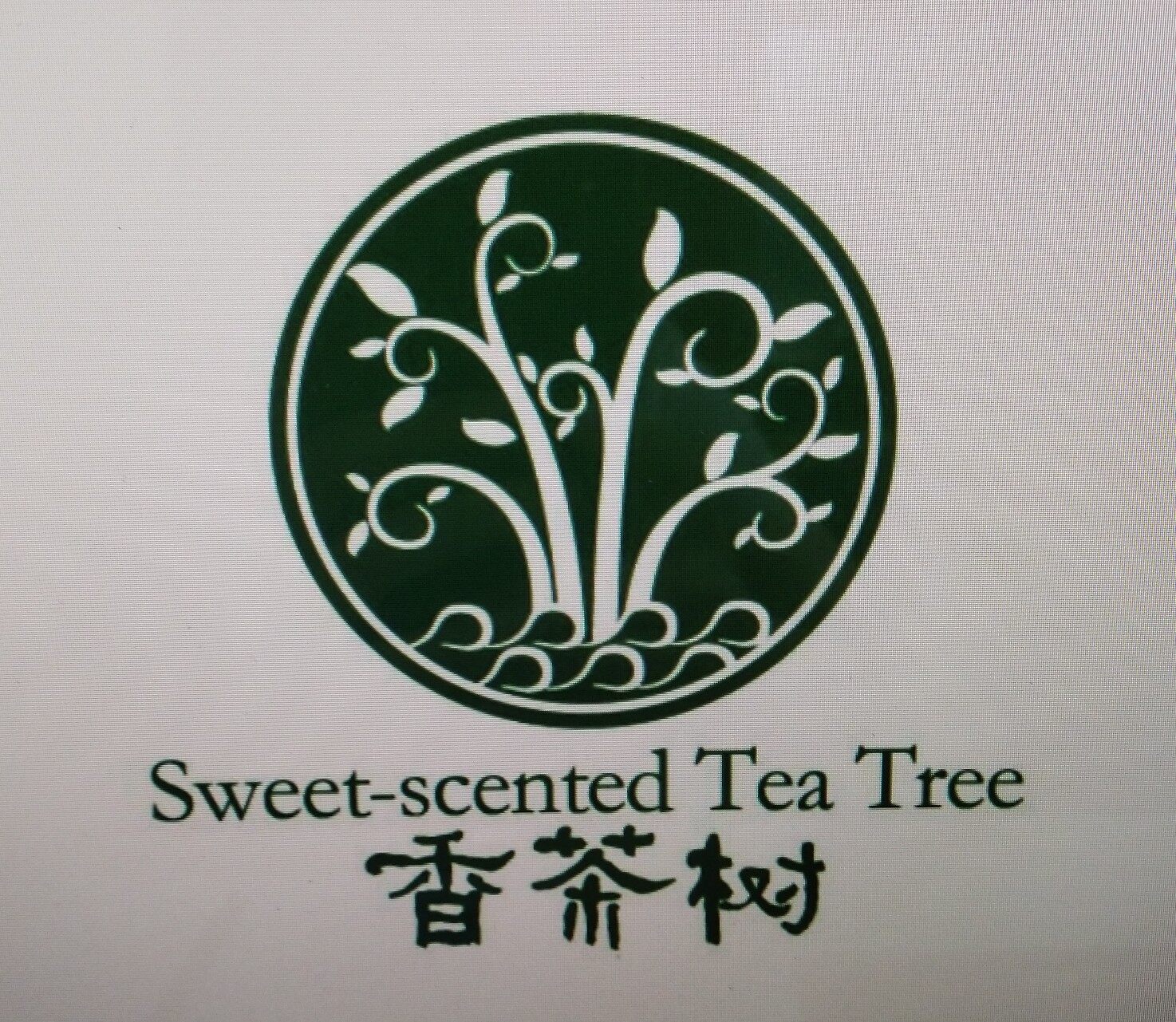 香茶树国际茶业招聘logo
