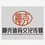 安徽椰壳体育文化传媒有限公司logo