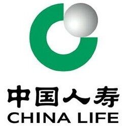 中国人寿保险股份有限公司云梦支公司logo