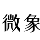 深圳市微象科技有限公司logo