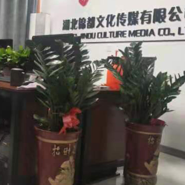 锦都文化传媒logo
