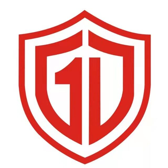 国盾保安服务集团招聘logo