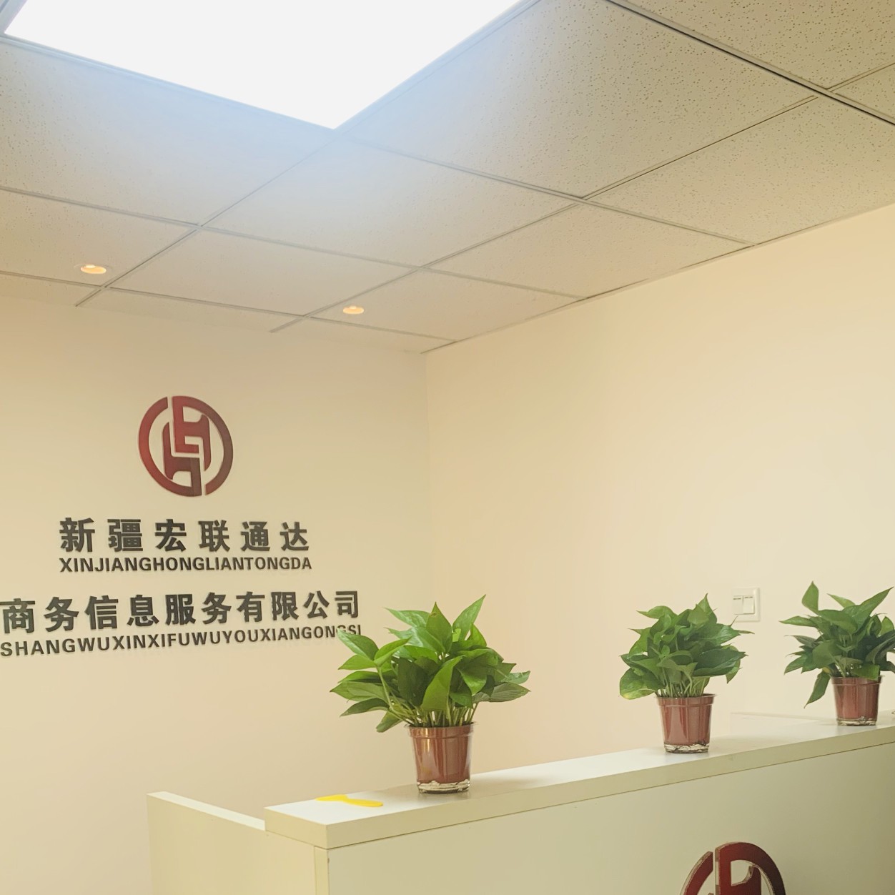 新疆宏联通达商务信息服务logo