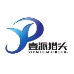 佛山市壹派企业管理咨询有限公司logo