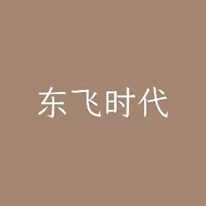 四川东飞时代文化传媒logo