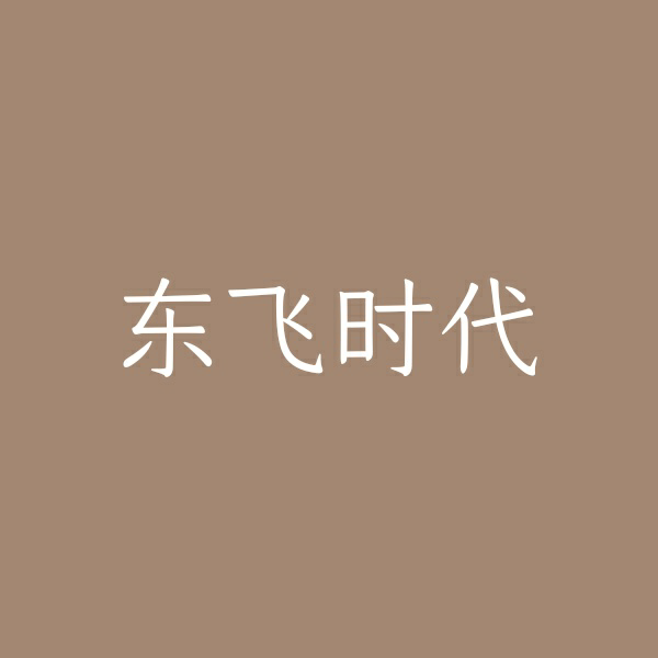 四川东飞时代文化传媒有限公司logo
