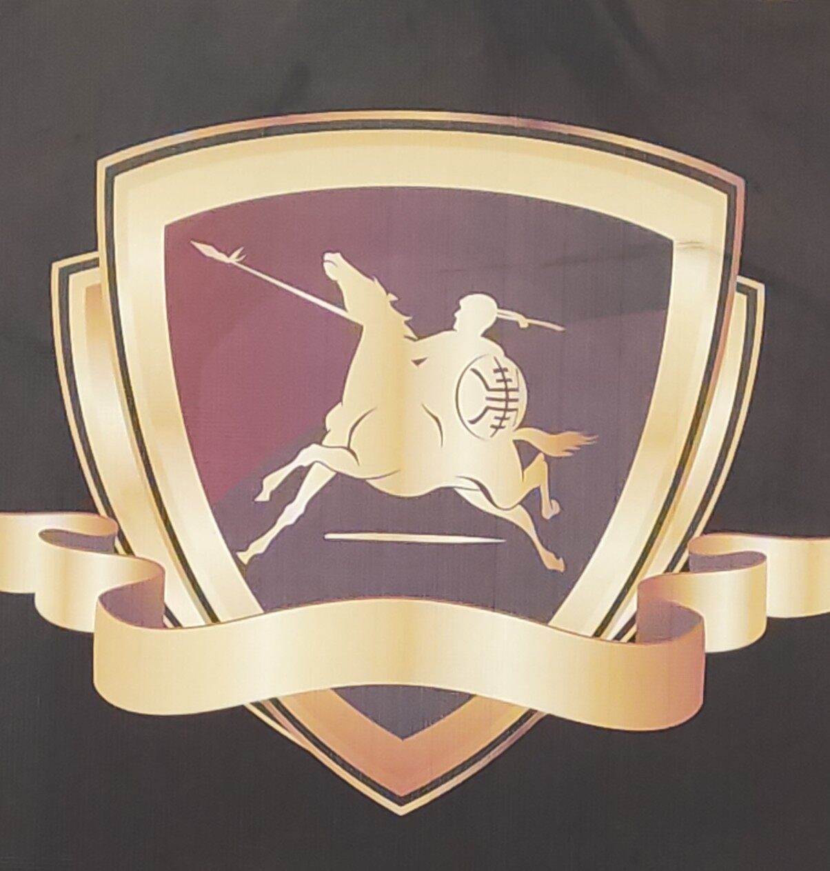 惠州市石氏金牌驾驶员培训有限公司logo