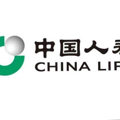 中国人寿保险股份有限公司潍坊市潍城区支公司logo