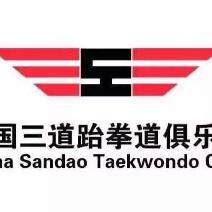亭湖区三道跆拳道培训中心logo