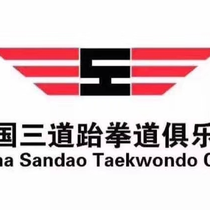 盐城市亭湖区三道跆拳道培训中心logo