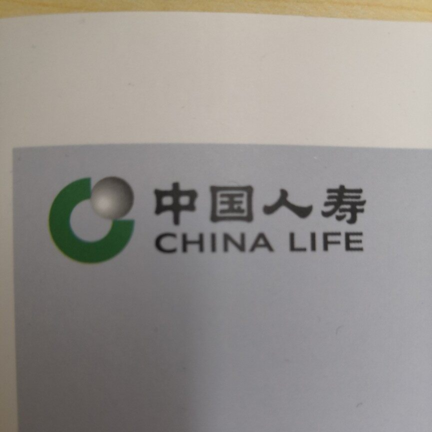 中国人寿股份有限公司南京市河西支公司logo