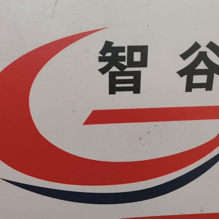 东莞市智谷电子有限公司logo