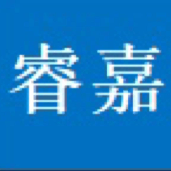 东莞睿嘉致胜科技logo