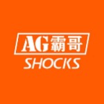 东莞市霸哥减震技术有限公司